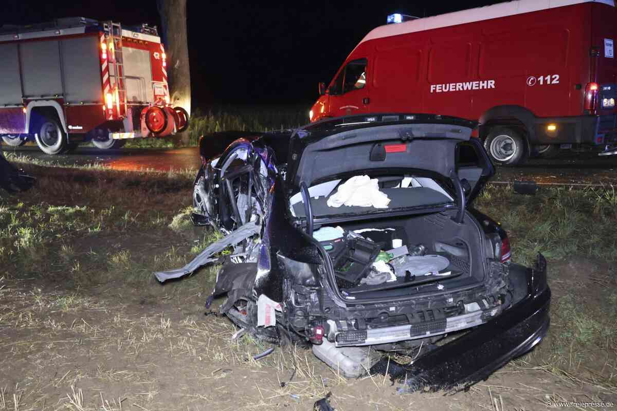 Mit Baum kollidiert: Auto bei Unfall in Burgstädt komplett zerstört