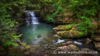 'Best short walk in Wales' has amazing views of cliffs and waterfalls