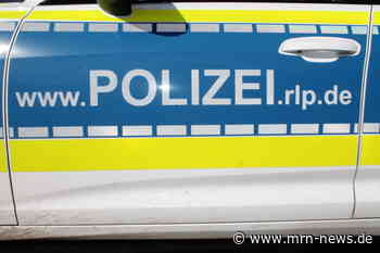 Ludwigshafen – Neue TÜV Plakette gestohlen