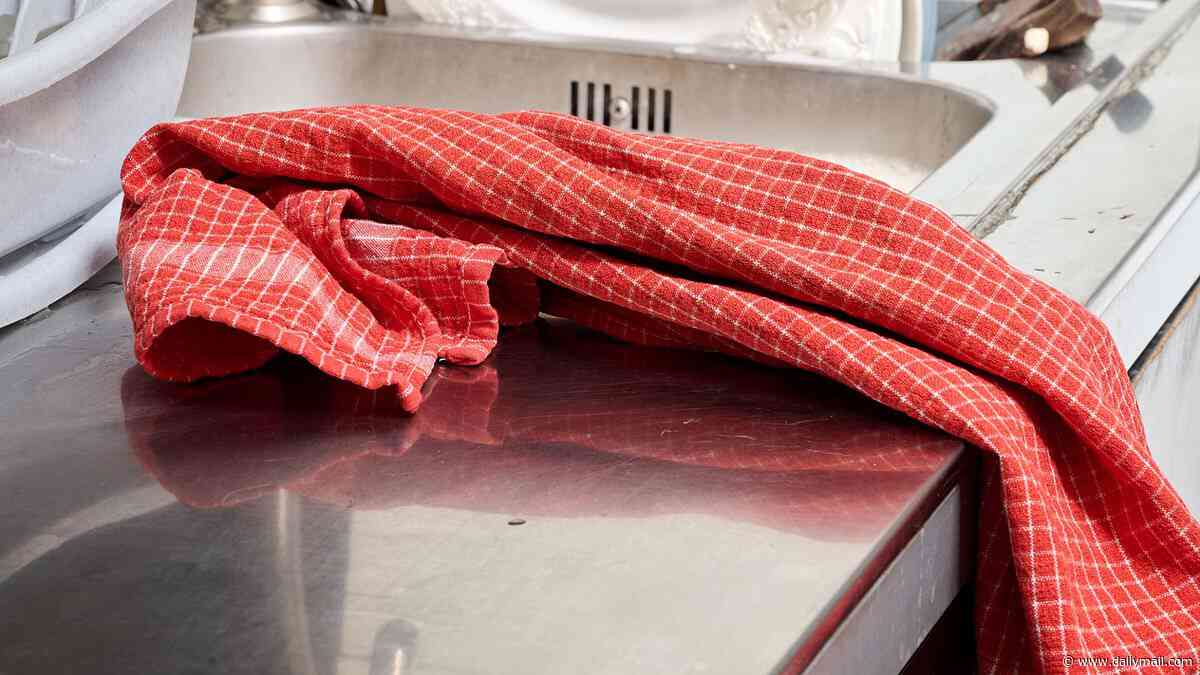 How often should you change your tea towels? Microbiologist finally settles the debate - so, are you doing it enough?
