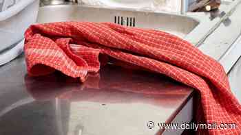 How often should you change your tea towels? Microbiologist finally settles the debate - so, are you doing it enough?