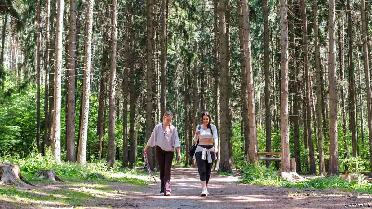 Lymph-Walking: Der Fitness-Trend, der gerade alle zum Spazierengehen bringt