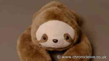 Warning issued by Office for Product Safety and Standards over adult stuffed toy that 'could suffocate children'