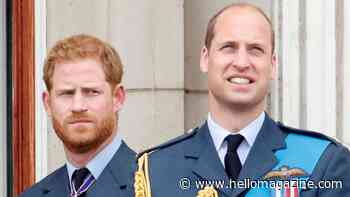 Prince Harry and Prince William's reunion will be a 'long time waiting'
