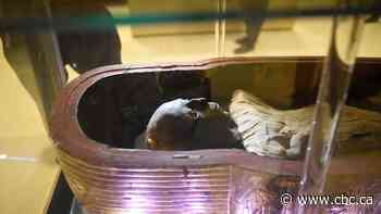 People are trading mummified human remains online. Some scientists say that may be bad for their health