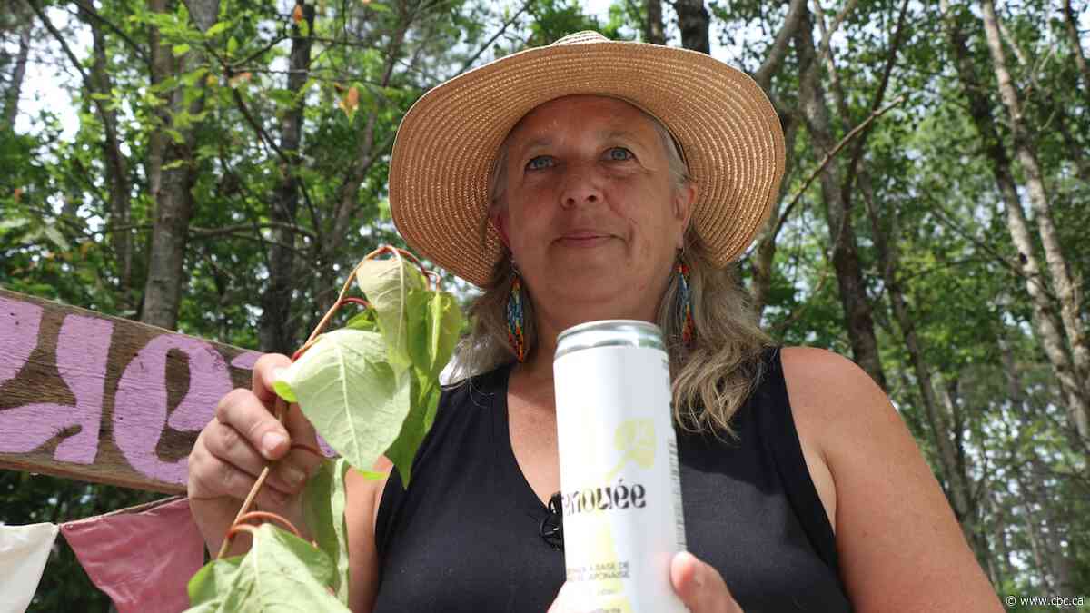 Cracking down on Japanese knotweed in Quebec — 1 lemonade can at a time