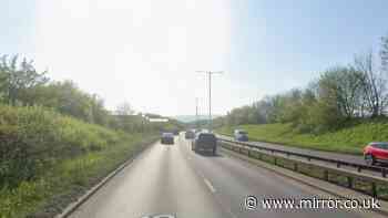 A66 crash: Multiple fatalities after collision involving police vehicle in South Bank