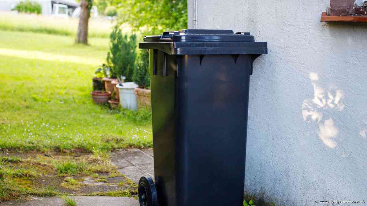 Wheelie bins will stay cleaner and free of flies if you use 1 natural item every home has