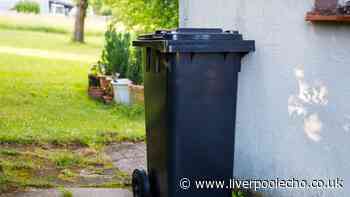 Wheelie bins will stay cleaner and free of flies if you use 1 natural item every home has
