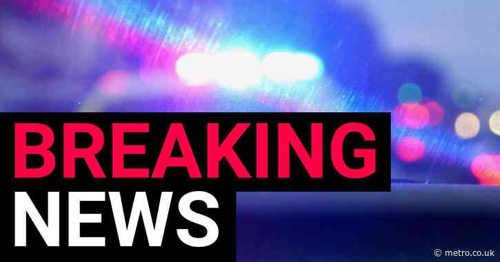‘Multiple fatalities’ after crash involving police car with major road closed