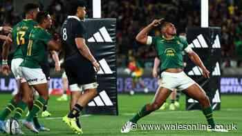 Springboks star is juggling playing New Zealand with running a funeral home