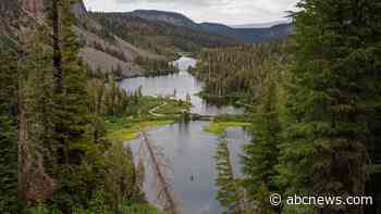 Trump admin moves to allow logging and construction in national forests