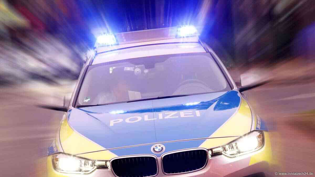 Dreister Diebstahl: Motorboot samt Anhänger in Übersee gestohlen