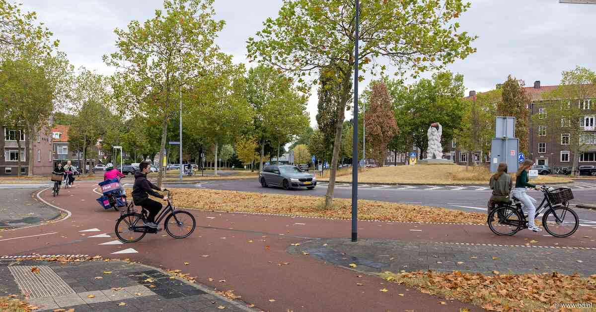 Twee bloedlinke rotondes vol ongelukken in Den Bosch: toch wil de Fietsersbond ze niet afschrijven