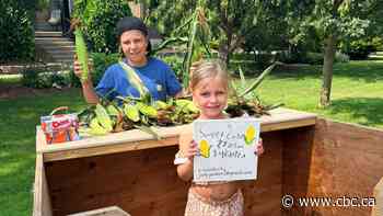 These kids turned a sweet corn harvest into a summer lesson in hard work