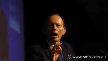 Tony Abbott backs Pauline Hanson’s High Court racial vilification bid
