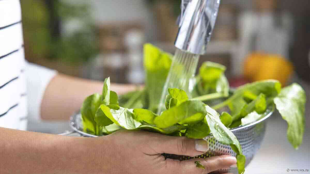 Viele waschen Salat falsch – und verlieren dabei unbemerkt wertvolle Vitamine