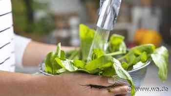 Viele waschen Salat falsch – und verlieren dabei unbemerkt wertvolle Vitamine