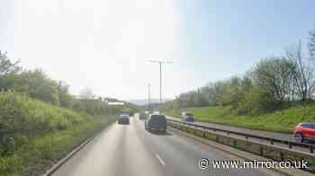 A66 crash: Several people dead after collision involving police vehicle in Teesside