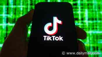 TikTok to pay $400m in US to end children's online privacy case in one of largest settlements agreed by Big Tech