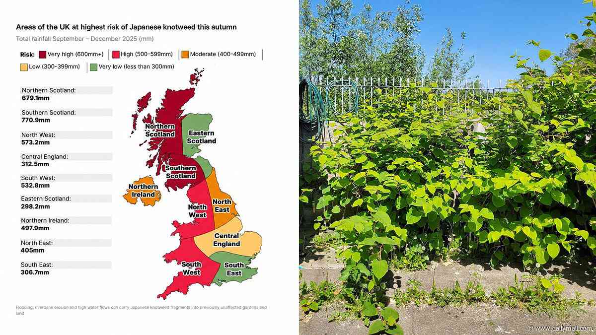 Revealed: The areas most at risk from Japanese Knotweed this autumn - and it's bad news for people in the north