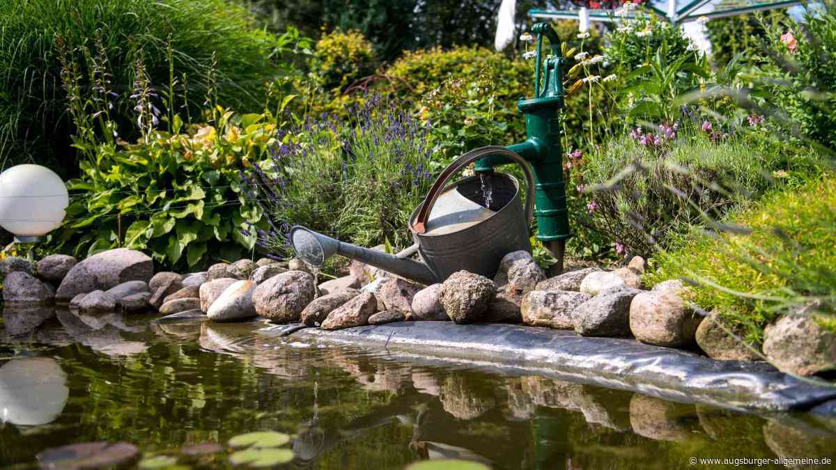 Trübe Aussichten für Gartenfreunde: Wenn im eigenen Brunnenwasser zu viel Nitrat steckt