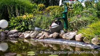 Trübe Aussichten für Gartenfreunde: Wenn im eigenen Brunnenwasser zu viel Nitrat steckt