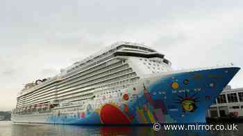 Two cruise ships raided in Boston as 11 arrested over child abuse images