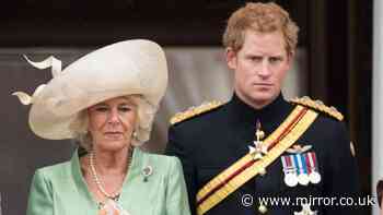 Queen Camilla’s bumpy relationship with Prince Harry - from 'wicked' jibe to reconciliation role