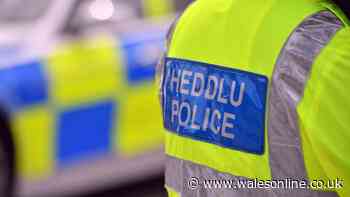 Police officer shared sexual picture of himself in uniform