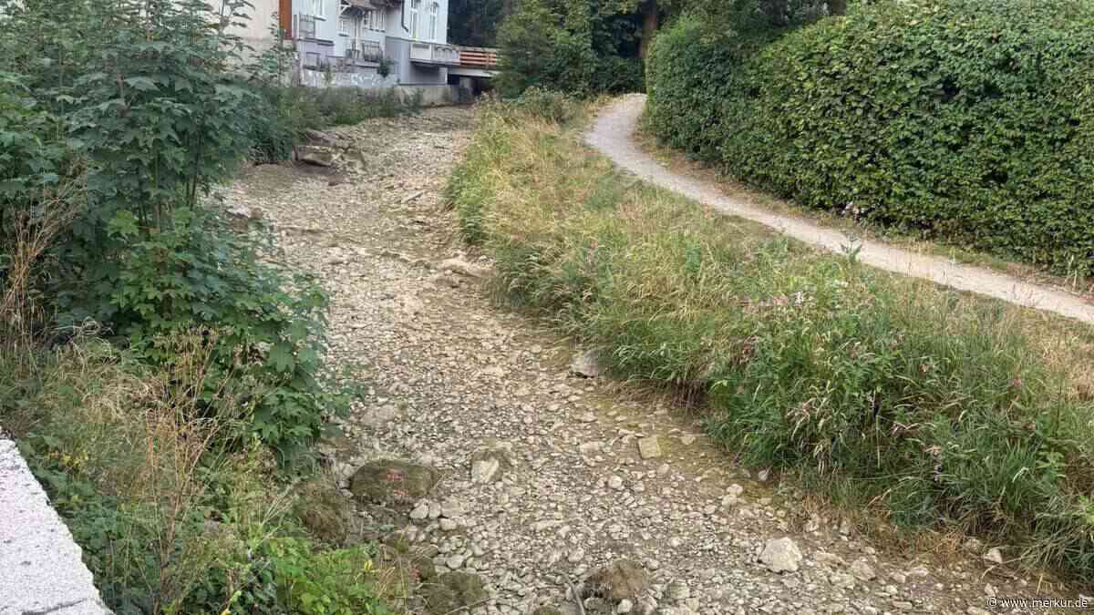 Trotz Regen: Schlierach schon wieder ohne Wasser – Rettungsaktionen gehen weiter