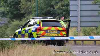 First pictures from A66 police crash which has resulted in multiple deaths