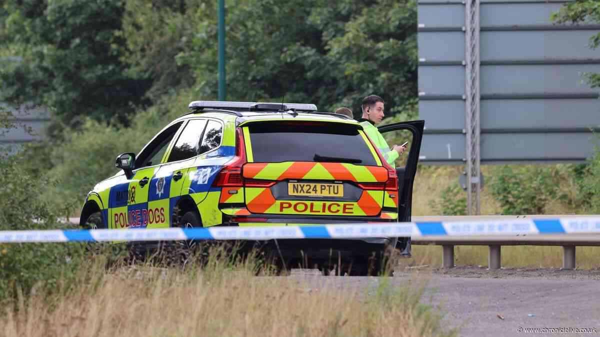 First pictures from A66 police crash which has resulted in multiple deaths
