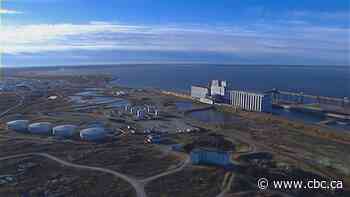 Churchill residents say year-round shipping would benefit town but tourism, environment must be considered