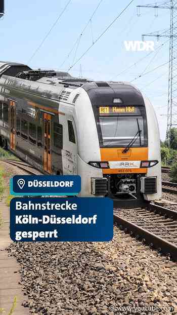 Das musst du wissen: Bahnstrecke zwischen Köln-Düsseldorf gesperrt I WDR #shorts