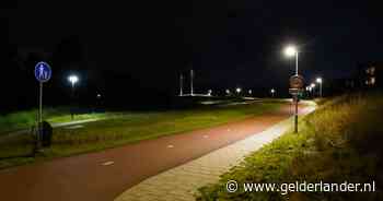 Ruzie over loslopende honden loopt uit de hand: man bewusteloos geslagen
