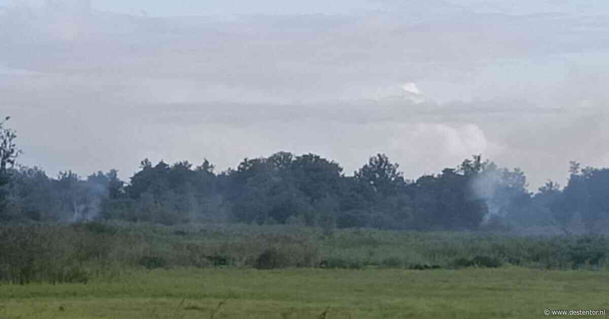 Veertig meldingen over stank in Zwolle, Olst en Wijhe: oorzaak gevonden in de Weerribben