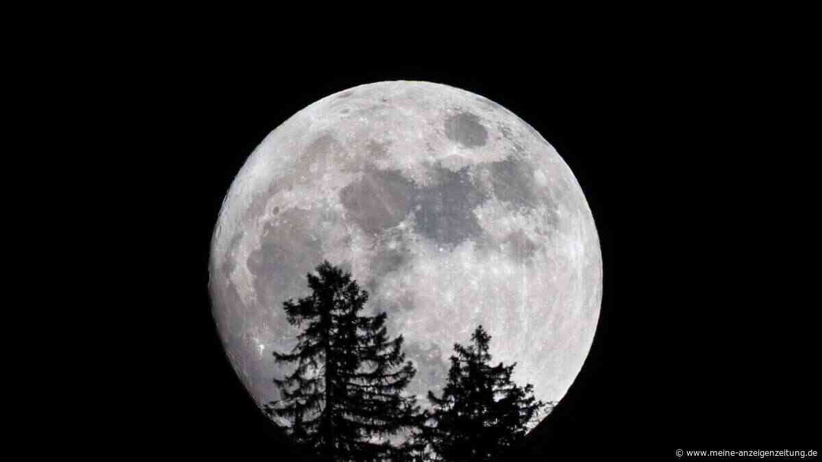 NASA-Studie zeigt, wie Mikroben den Mond besiedeln könnten