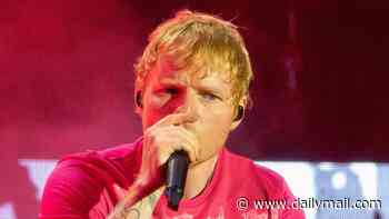 Ed Sheeran wants to build ANOTHER wildlife pond: Superstar risks wrath of residents at his £1.1million 'Sheeran-ville II' recording studio... but will this pool be just for newts and tadpoles?