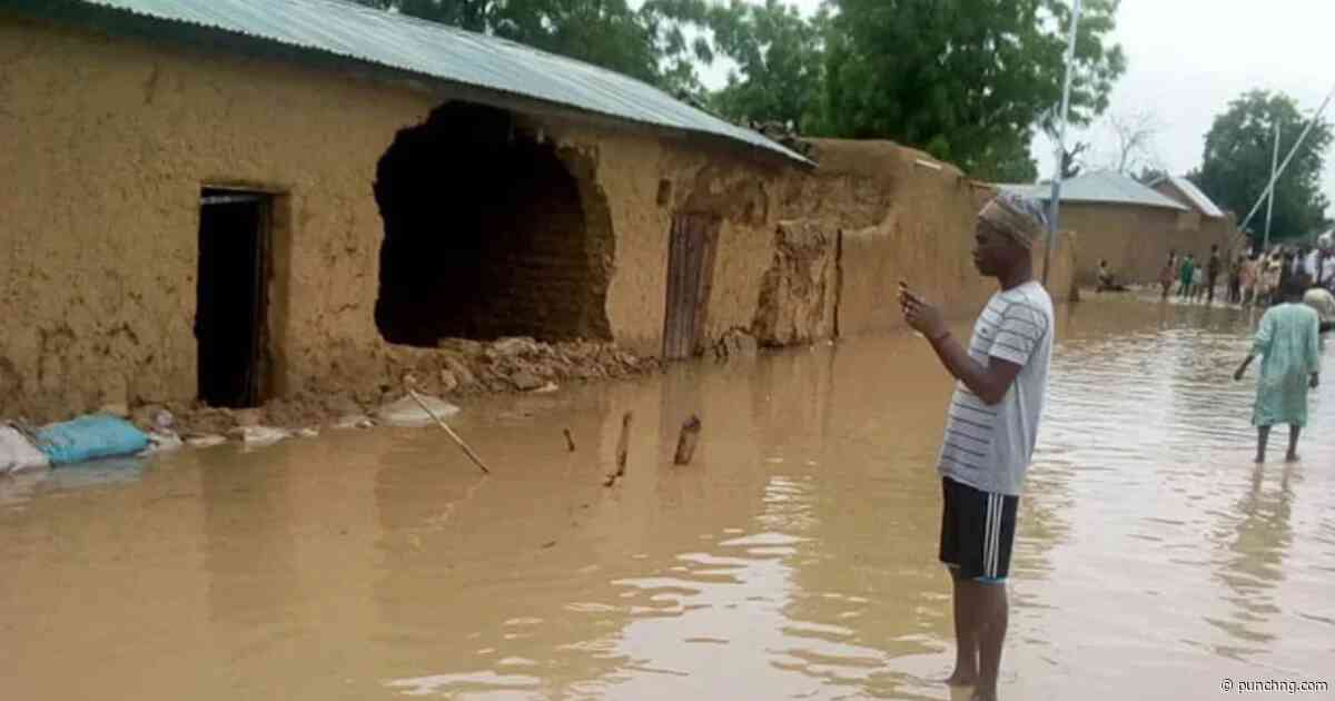 Two feared dead, dozens homeless as flood hits Jigawa community