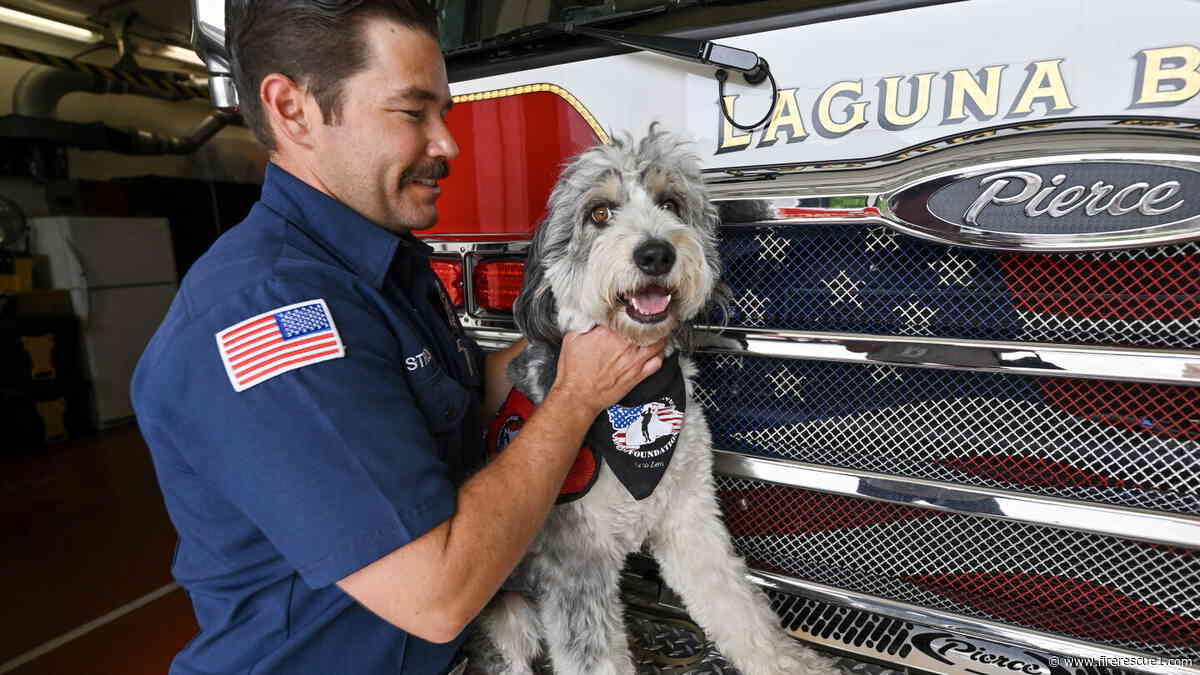 Calif. first responders turn to peer-support dogs to help cope with trauma