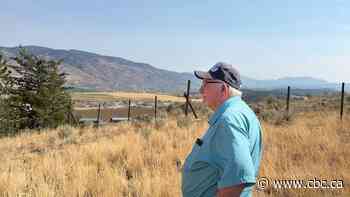 Crops sacrificed, losses mount for B.C.  farmers grappling with historic drought
