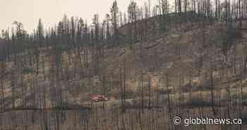 Wildfires expose accessibility failures: advocates