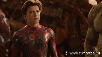 Spider-Man vocht met deze Avenger in dezelfde eindstrijd, maar wisselde nooit één woord met hem
