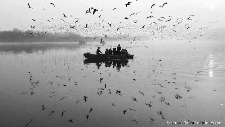 Jharkhand's Dhanbad turned a barren coal-belt hillock green; CISF is now trying the same experiment on 6 acres along Delhi’s Yamuna