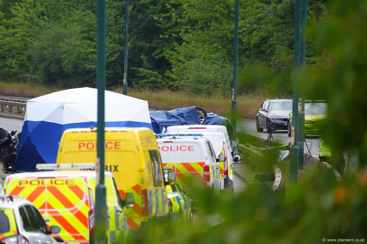 Seven dead after police car and Volkswagen crash during pursuit