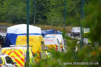Seven dead after police car and Volkswagen crash during pursuit