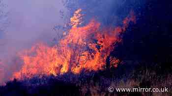'Firefighters battling wildfires with wrong gear and need more support'