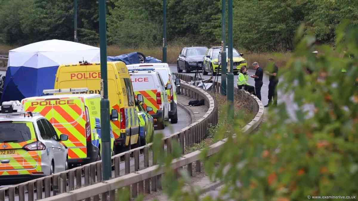 Seven dead including two police officers after A66 horror crash