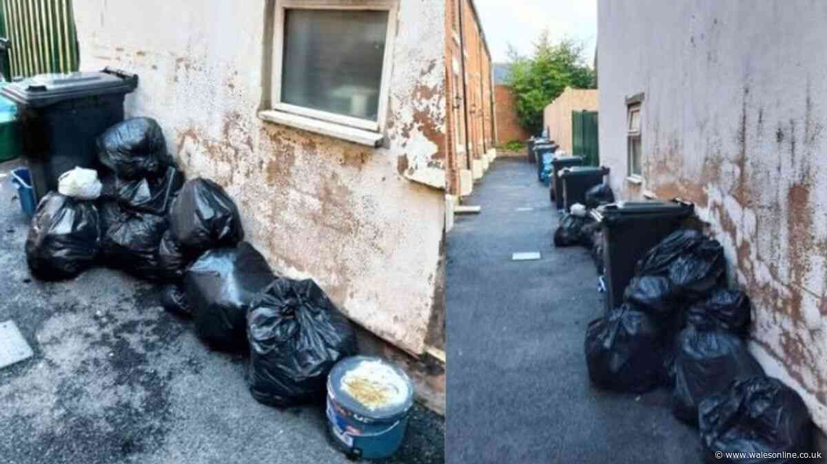 Awful state of new homes in Mold where bins have never been collected and residents are livid